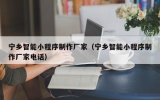 承德宁乡智能小程序制作厂家（宁乡智能小程序制作厂家电话）